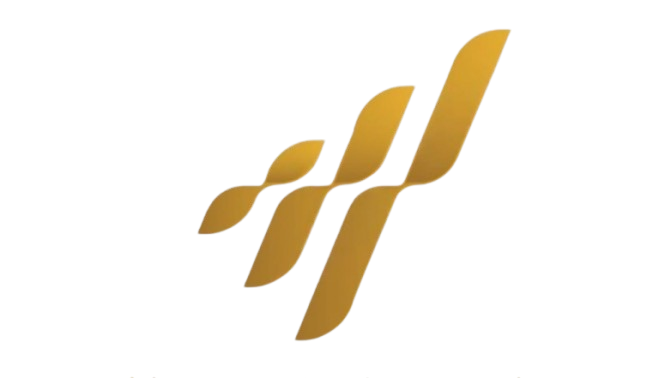 Alive marketing services 